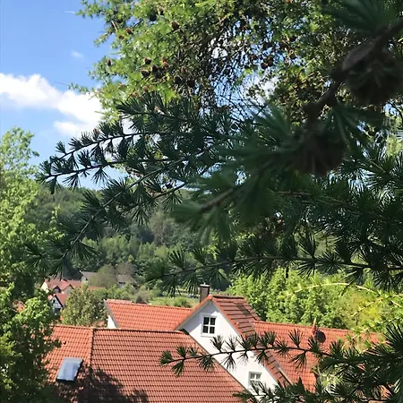Frauenstein * Trainmeusel